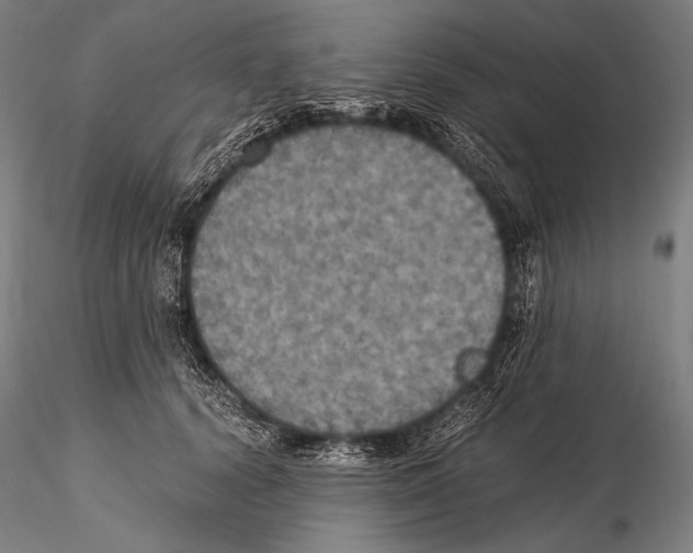 X0000115410656200912011341