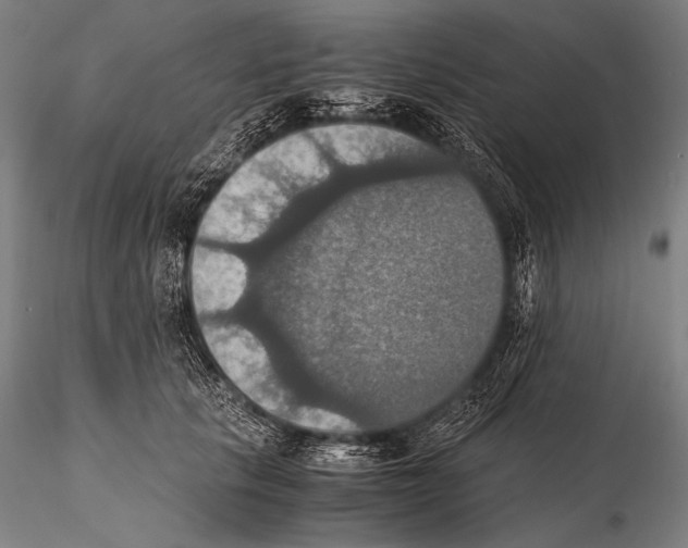 X0000115410657200912011341