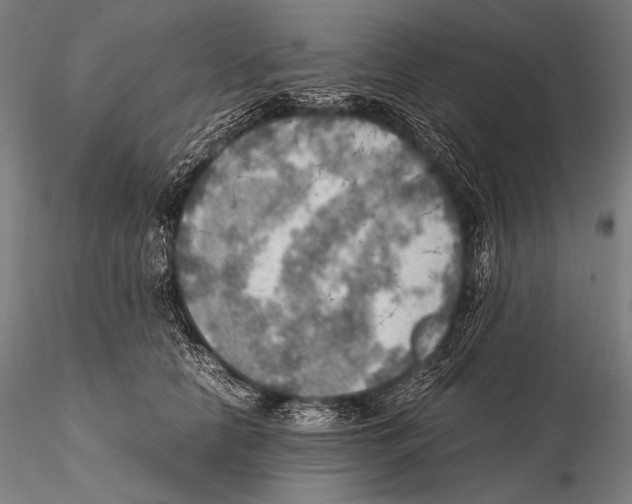 X0000115410658200912011341