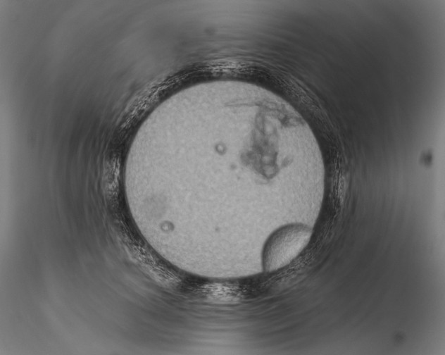 X0000115410660200912011341