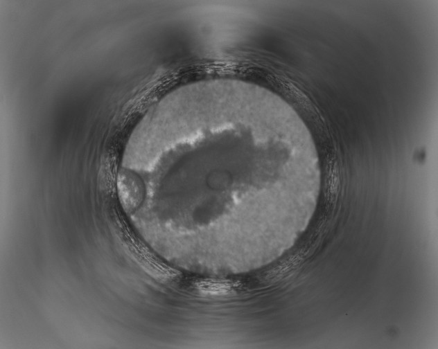 X0000115410661200912011341