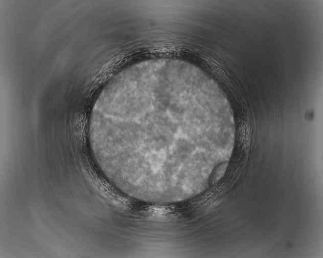 X0000115410662200912011341