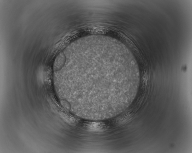 X0000115410663200912011341