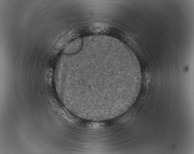 X0000115410664200912011341