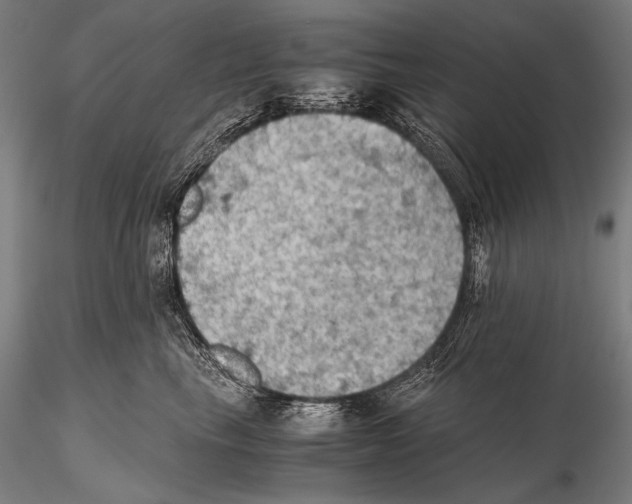 X0000115410665200912011341