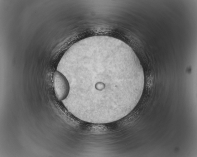 X0000115410666200912011341