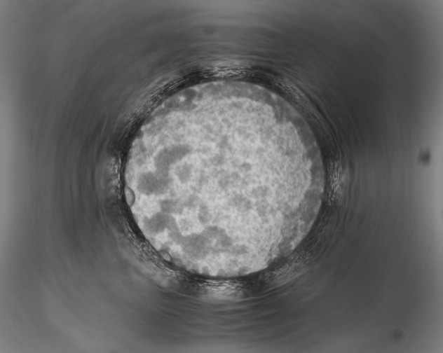 X0000115410667200912011341