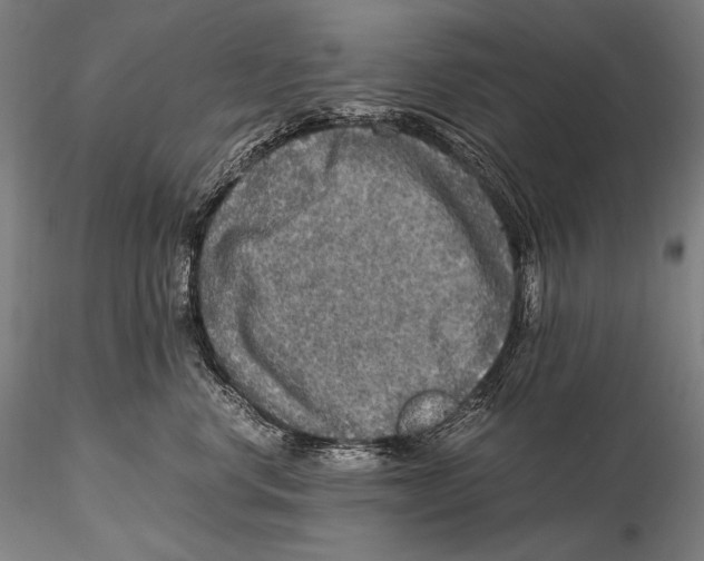 X0000115410668200912011341