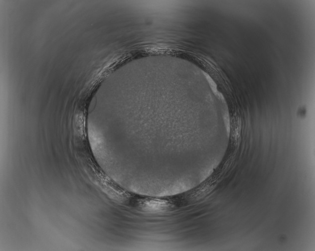 X0000115410669200912011341