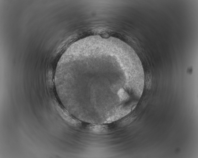 X0000115410670200912011341