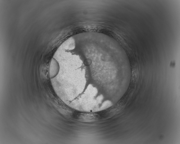 X0000115410671200912011341