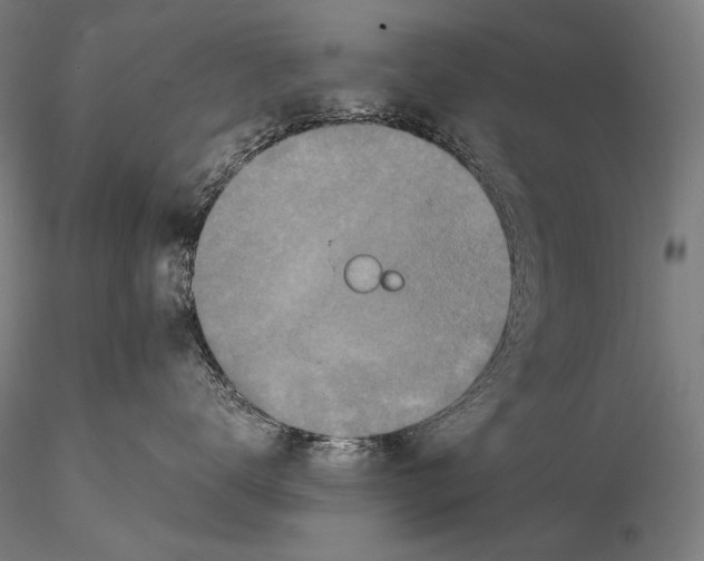 X0000115410672200912011341