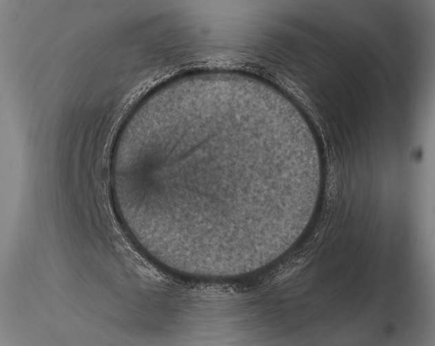 X0000115410673200912011341