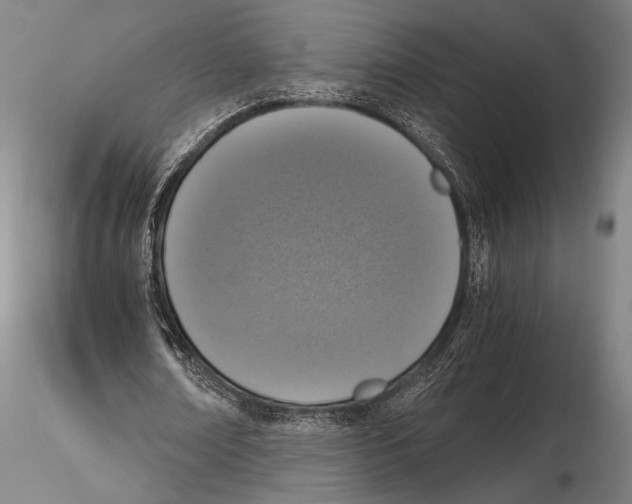 X0000115410674200912011341