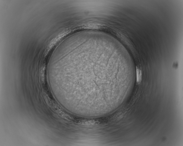 X0000115410675200912011341