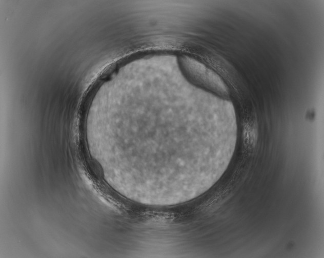 X0000115410676200912011341