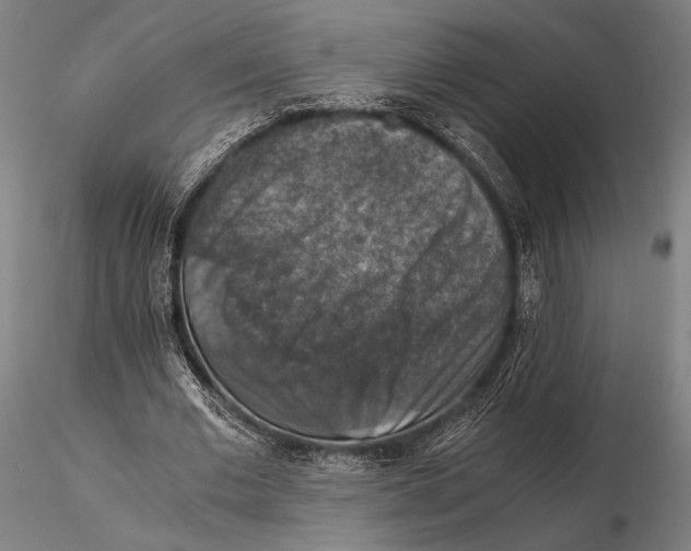 X0000115410677200912011341