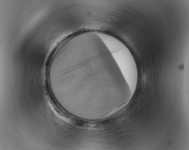 X0000115410678200912011341