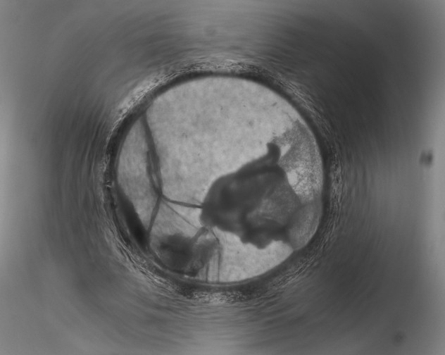 X0000115410679200912011341