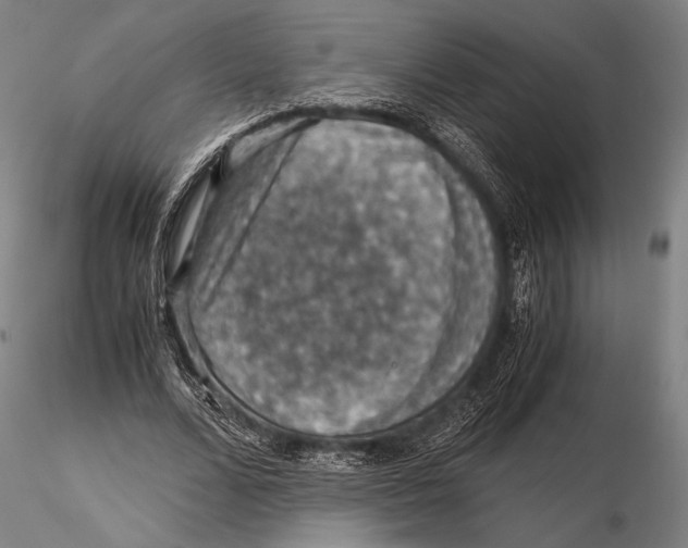 X0000115410680200912011341