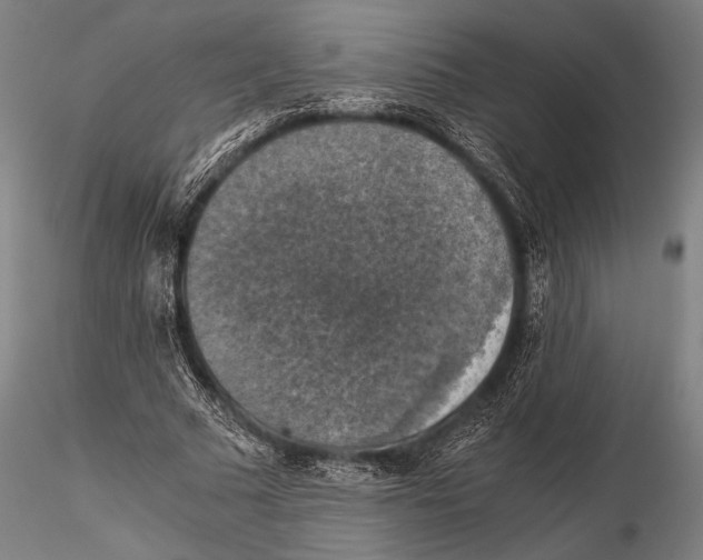 X0000115410681200912011341