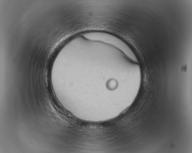 X0000115410684200912011341