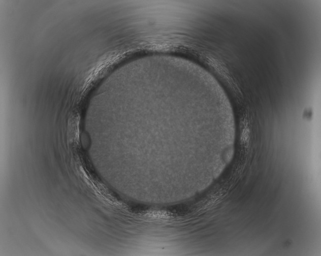 X0000115410685200912011341