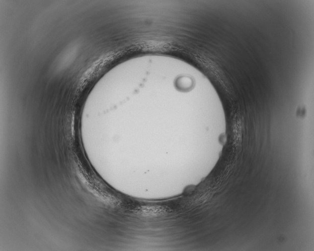 X0000115410686200912011341