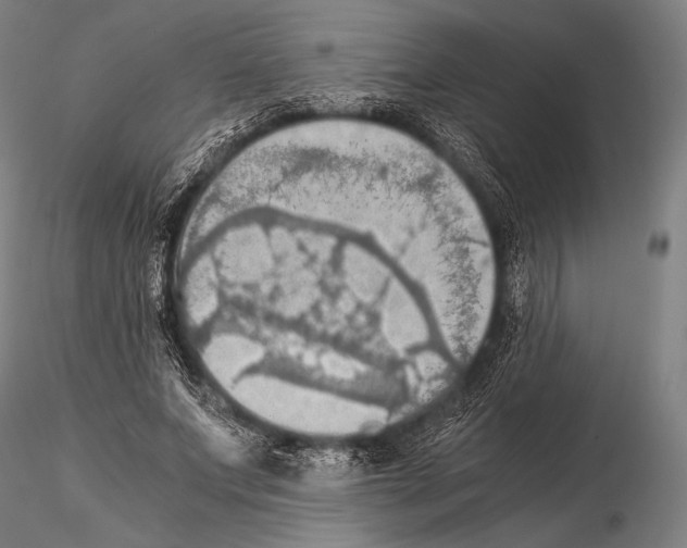 X0000115410687200912011341