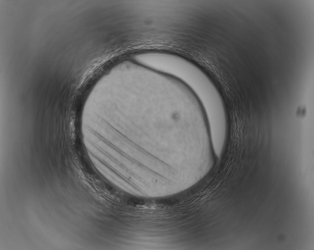 X0000115410688200912011341