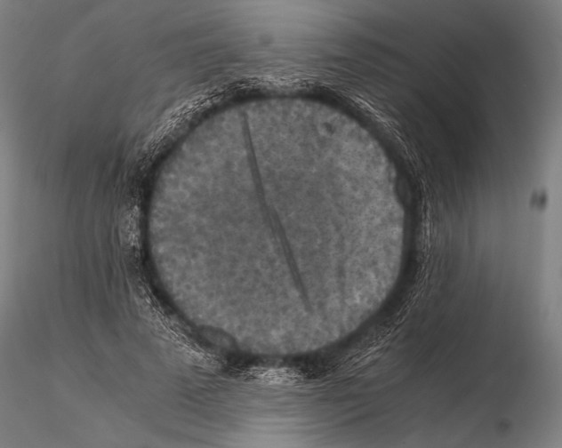 X0000115410689200912011341