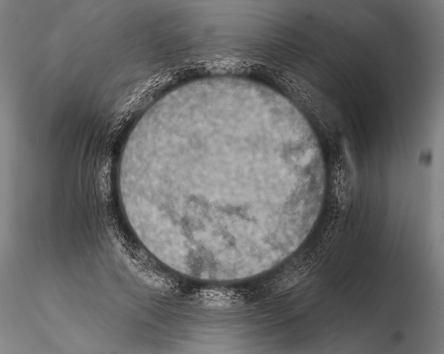 X0000115410690200912011341