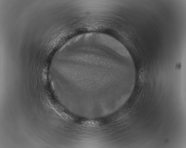 X0000115410691200912011341