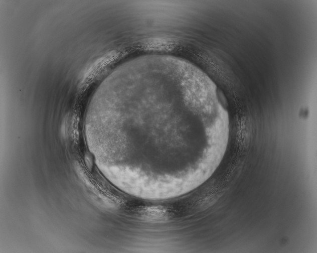 X0000115410692200912011341