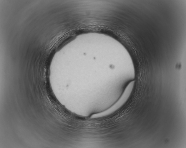 X0000115410693200912011341