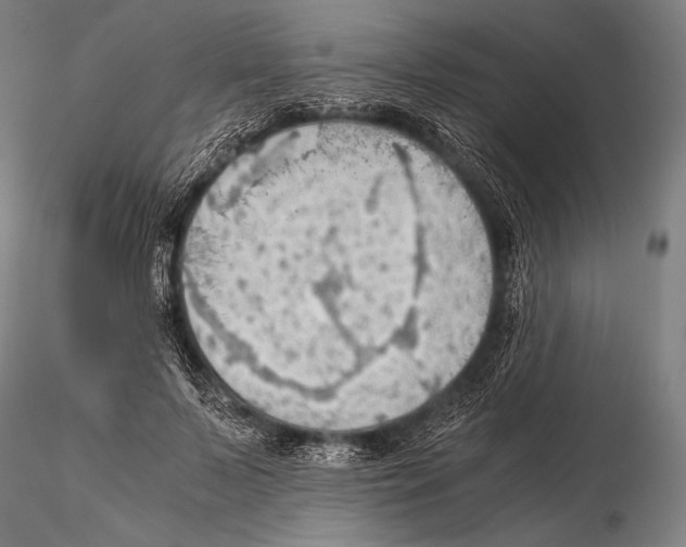 X0000115410695200912011340