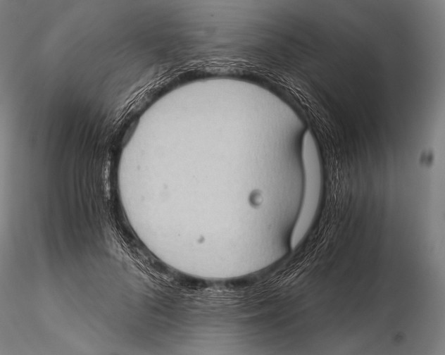 X0000115410696200912011340