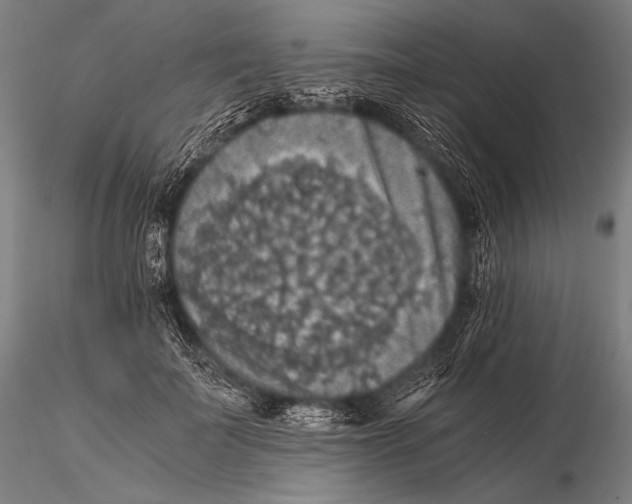 X0000115410699200912011340