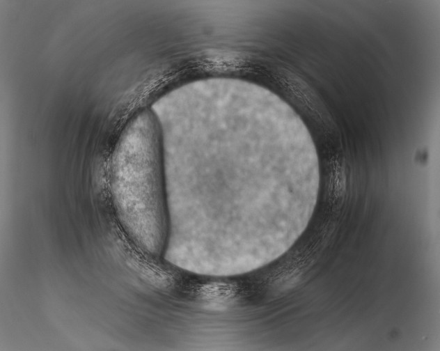 X0000115410700200912011340