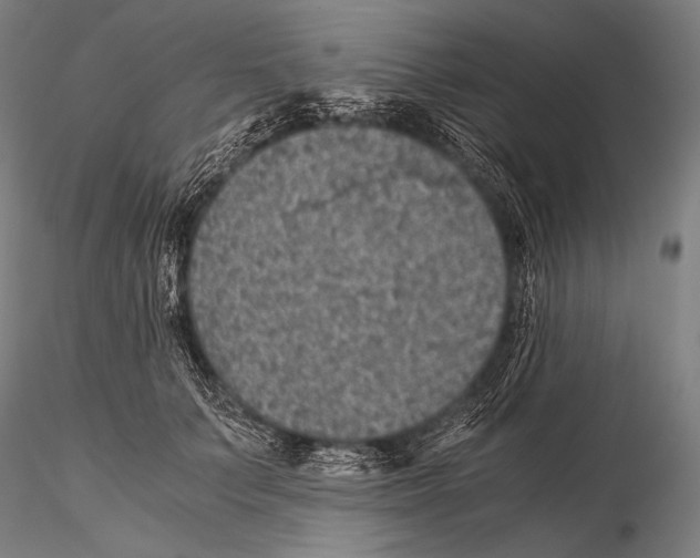 X0000115410703200912011340