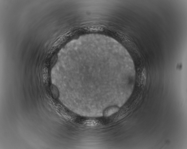 X0000115410704200912011340