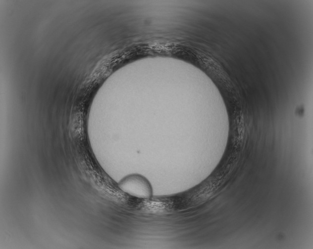 X0000115410706200912011340