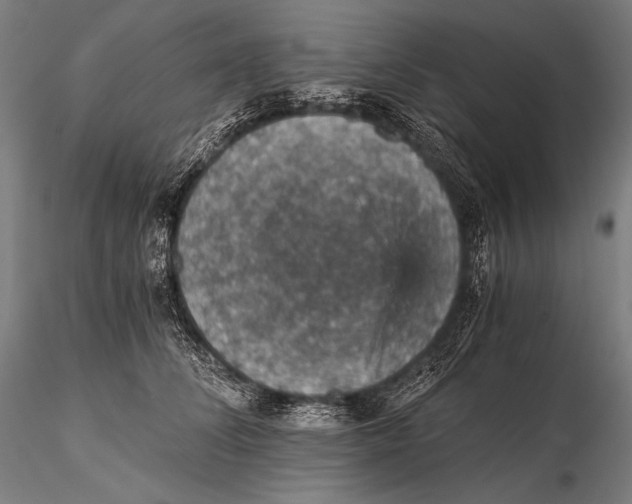 X0000115410708200912011340