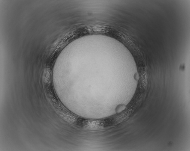 X0000115410709200912011340