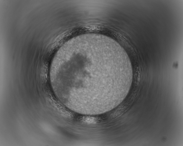 X0000115410710200912011340