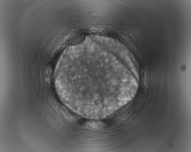 X0000115410712200912011340