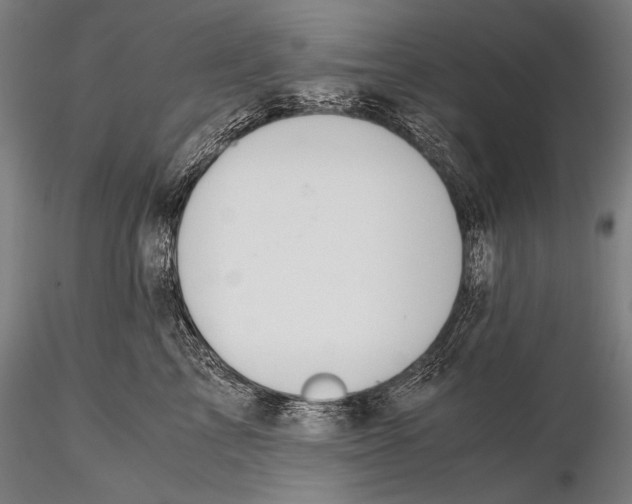 X0000115410713200912011340