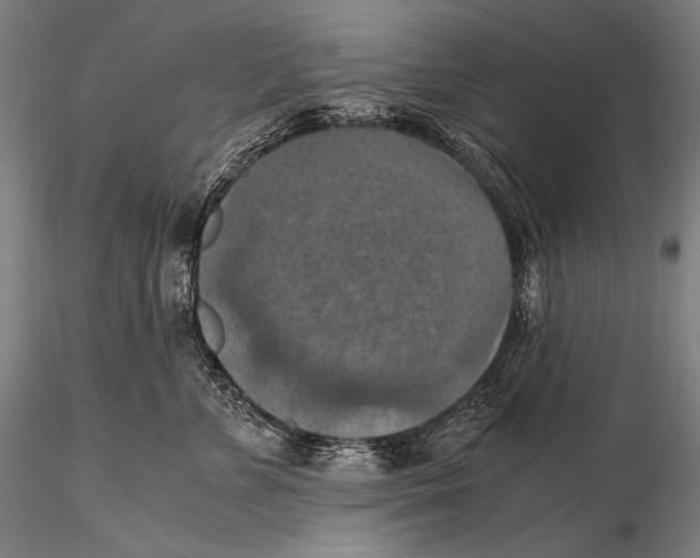 X0000115410715200912011340