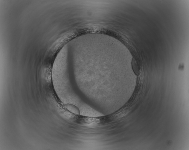 X0000115410719200912011340