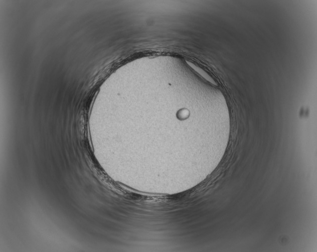 X0000115410720200912011340